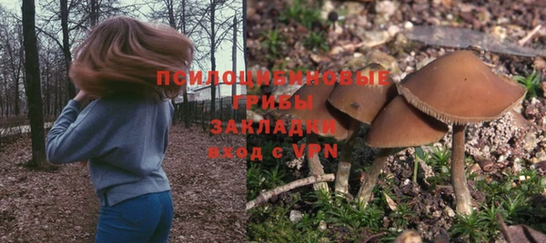 герыч Алексеевка