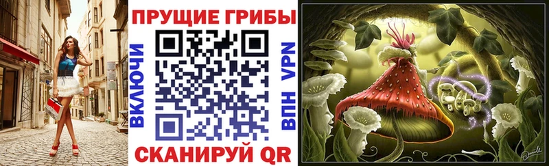 цена   Жуков  Галлюциногенные грибы Magic Shrooms 
